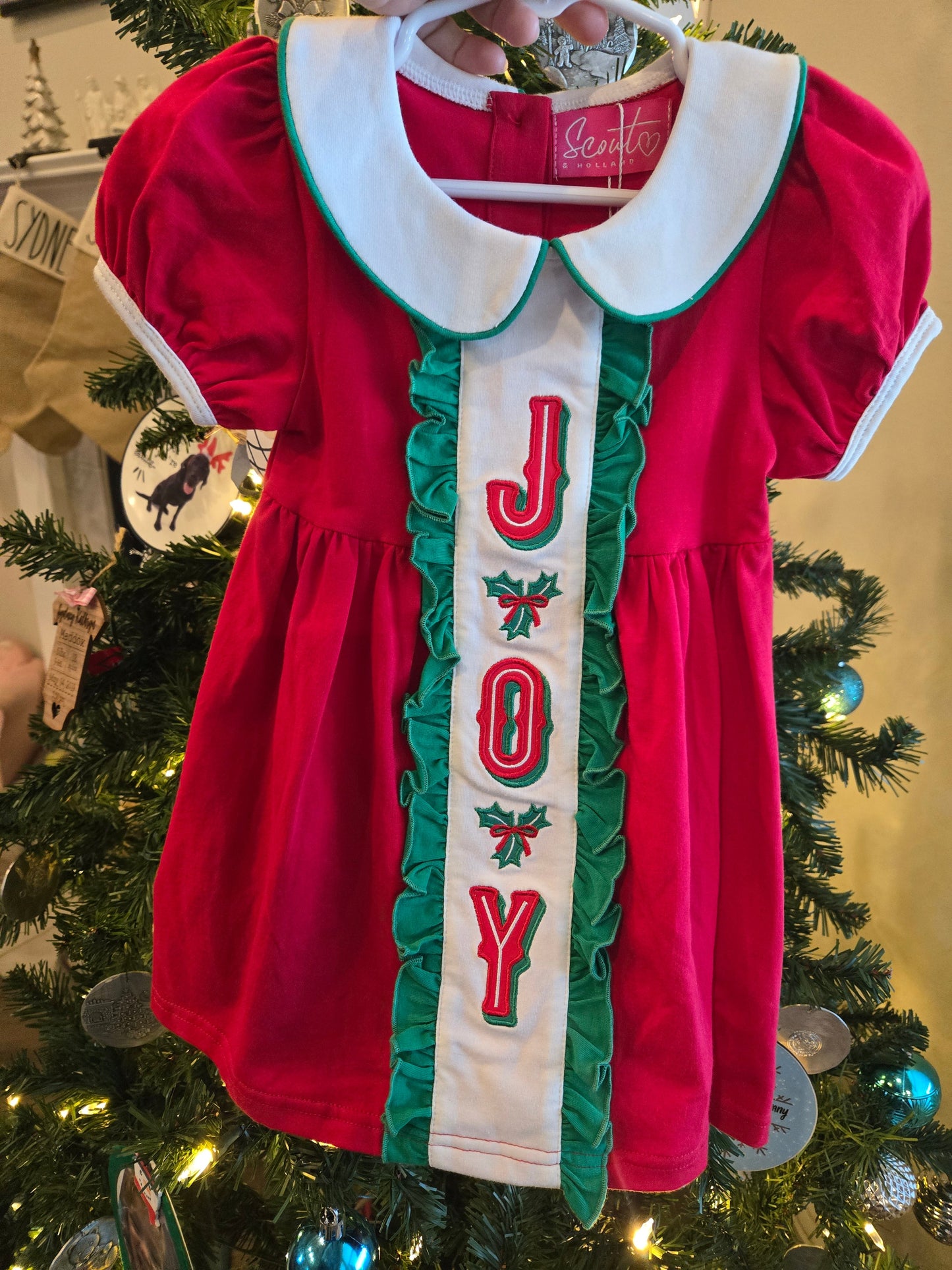 Joy Dress Scout and Holland