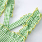 Spring Turtle Smocked Baby Girls Dress Rylee Faith
