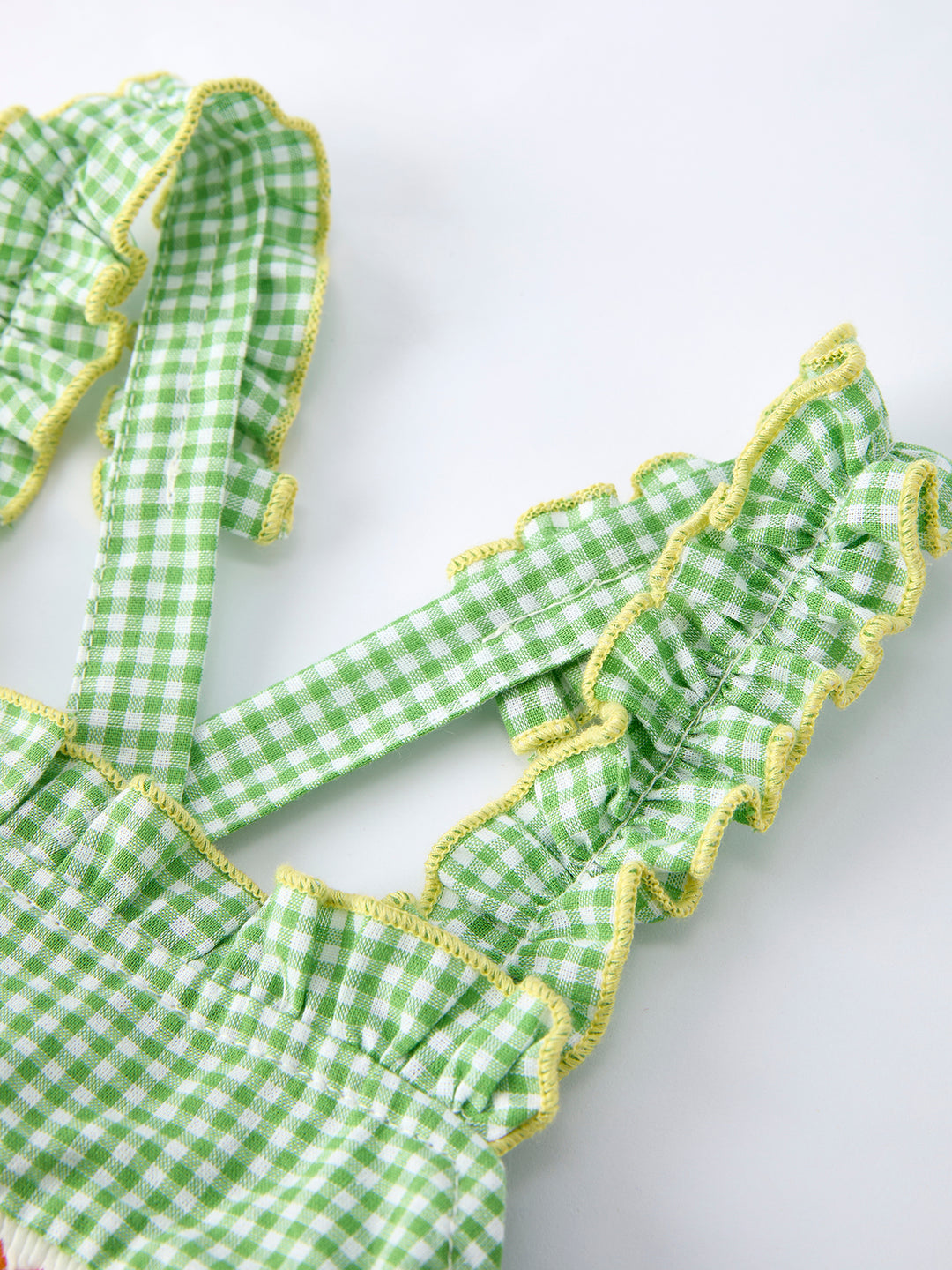 Spring Turtle Smocked Baby Girls Dress Rylee Faith