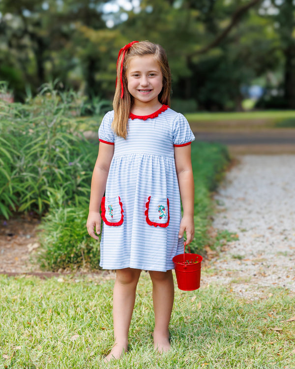 So Berry Sweet Ruffle Pocket Dress Smock Candy