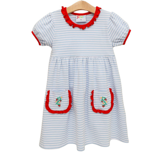 So Berry Sweet Ruffle Pocket Dress Smock Candy